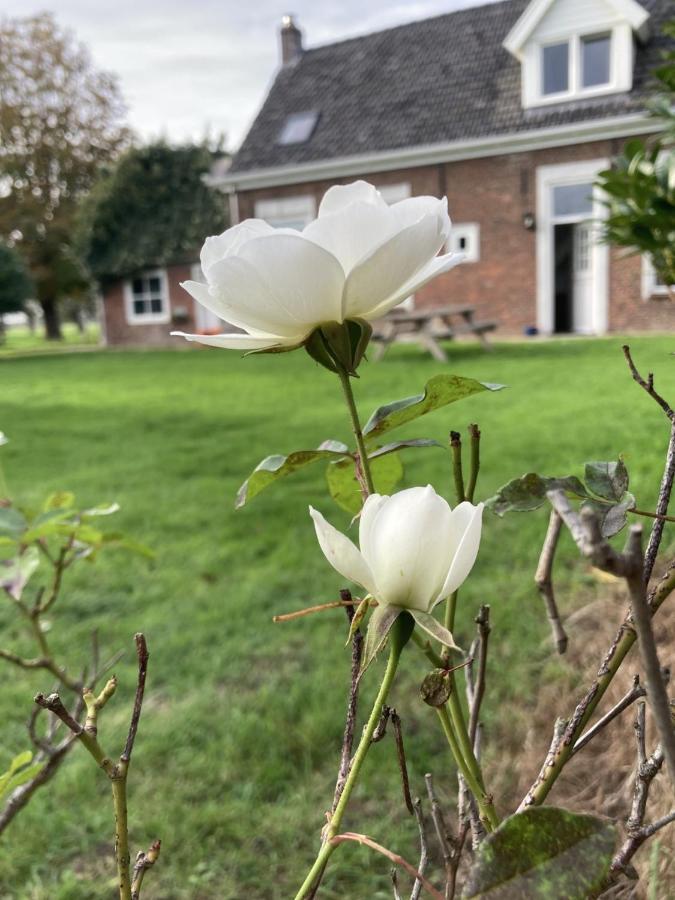 Villa Landhuis 'De Ontspanning' Axel Exterior foto